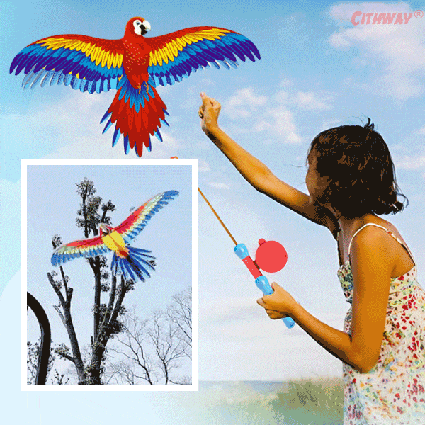 Cithway® Fishing Rod Kid's Kite