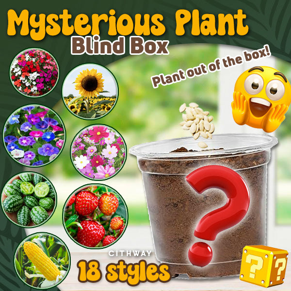 Cithway™ Mysterious Plant Blind Box Set