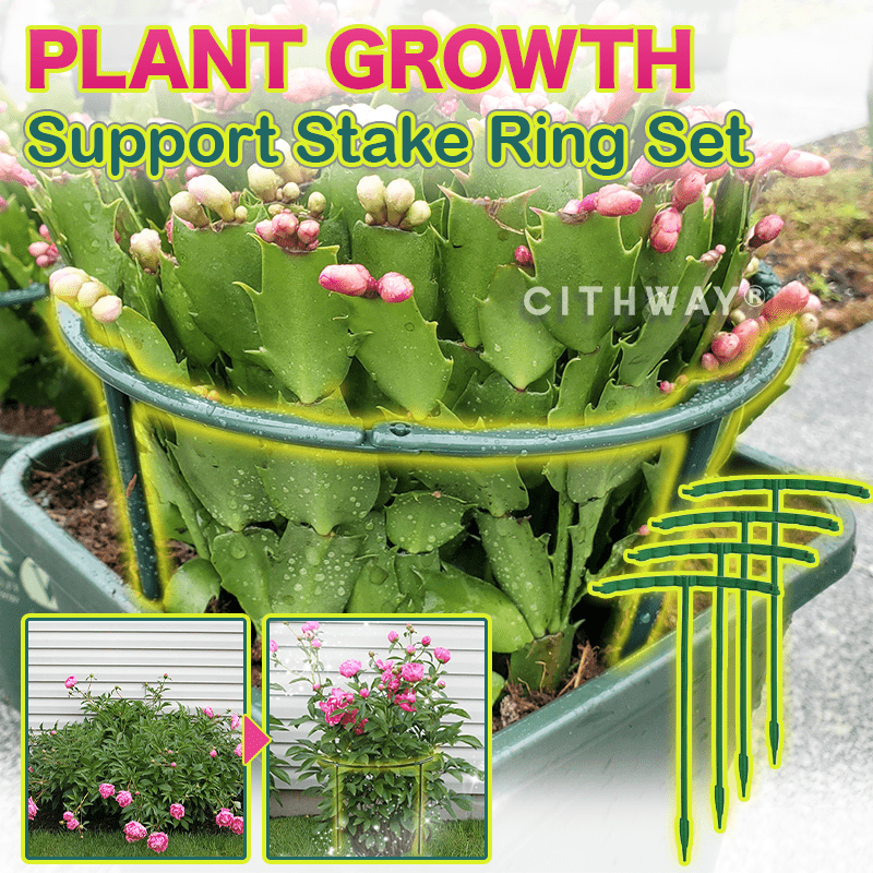 Cithway® Plant Growth Support Stake Ring Set