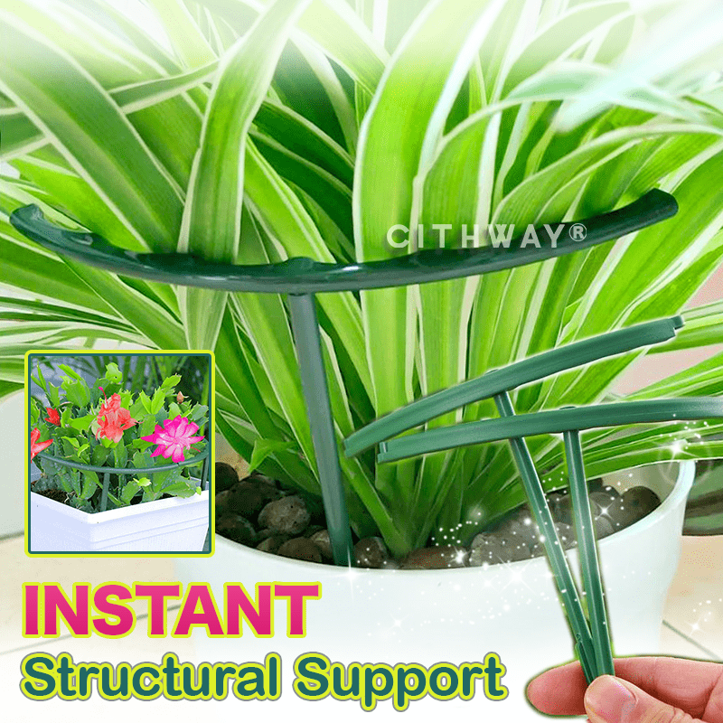 Cithway® Plant Growth Support Stake Ring Set