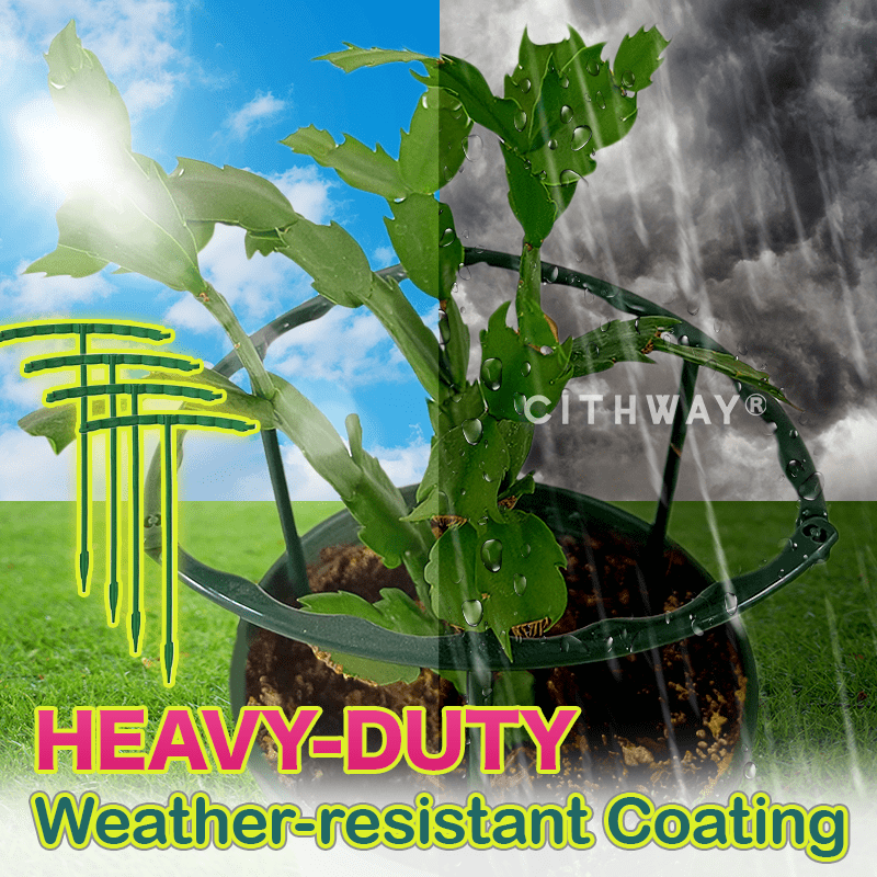 Cithway® Plant Growth Support Stake Ring Set